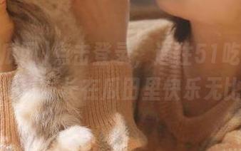 点击登录，通往51吃瓜网永久地址，长在瓜田里快乐无比！