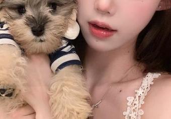 5i吃瓜网苹果翻新啦，在线波动好像各路心情都在翻滚。
