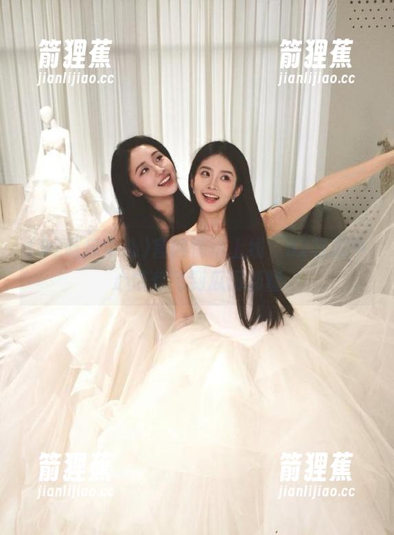 官网悄悄上线，92吃瓜中心带你飞到瓜田别墅