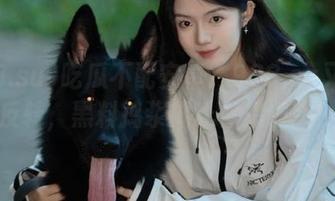 吃瓜不配安卓？998.su又给你反转，黑料捣浆糊让你想破头！