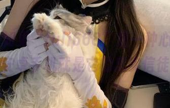 如果“fuli668”是一种心态，那我安卓手机就是它的忠实信徒。