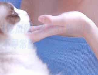 我爱51吃瓜网，走一条不寻常的少人走的线路！