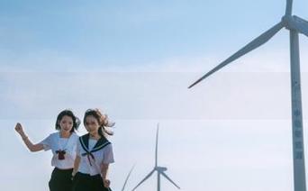权当娱乐，黑料老司机的永久黑幕也许值得一查