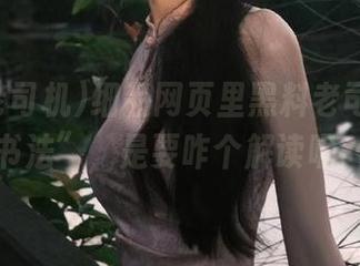 细品网页里黑料老司机的“书法”，是要咋个解读呢？